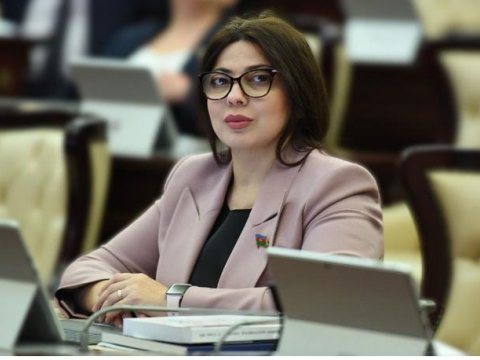 Ermənistan Azərbaycanın "dəmir yumruğ"u qarşısında hər zaman acizdir