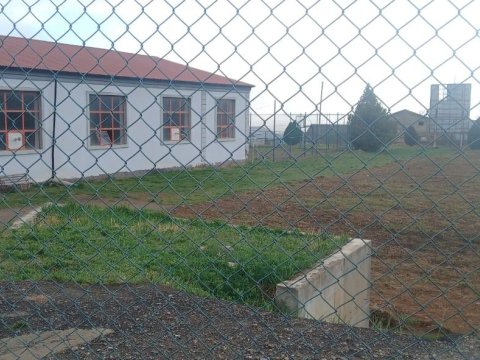 Gədəbəydə stadionu şumladılar: kartof əkəcəklər - FOTOLAR