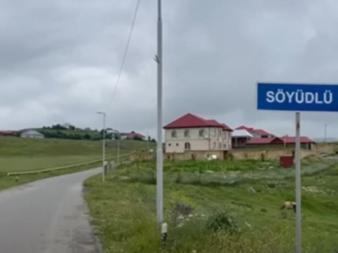 Söyüdlüdə qaynata gəlnini və nəvəsini döyərək xəstəxanalıq etdi