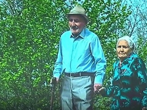 Bu kənddə nə qaz var, nə də yol... - VİDEO