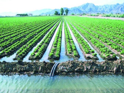 Yazda qış havası -  Aqrar sektora mənfi təsir edəcək