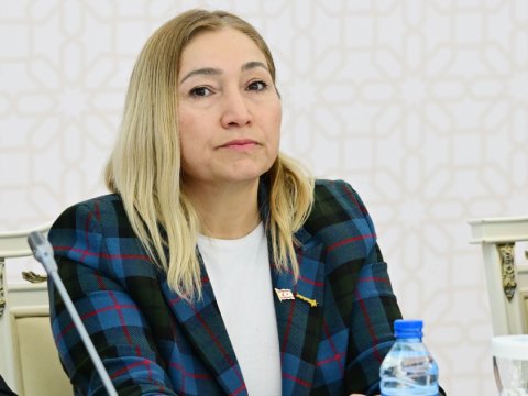 Şimali Kipr nümayəndəsi türk dövlətlərinə müraciət etdi