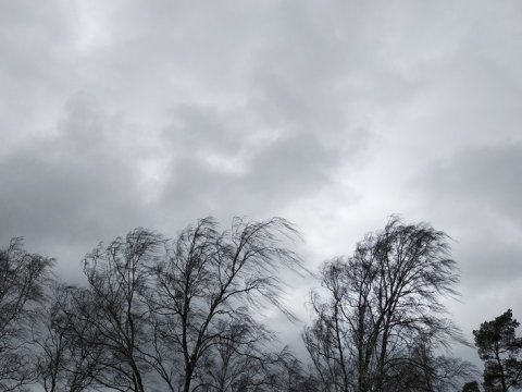 Küləklə bağlı XƏBƏRDARLIQ