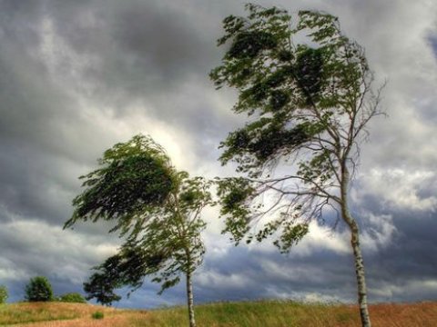 Küləkli havada hansı iş yerləri dayandırılmalıdır? - RƏSMİ