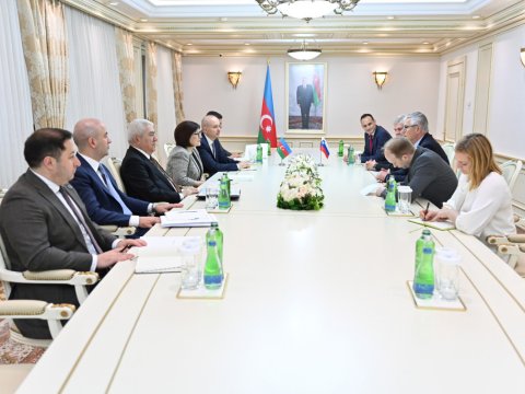 Sahibə Qafarova sloveniyalı deputatları qəbul edib