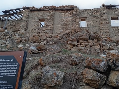 Abidənin acınacaqlı durumu ilə bağlı nazirə müraciət edildi