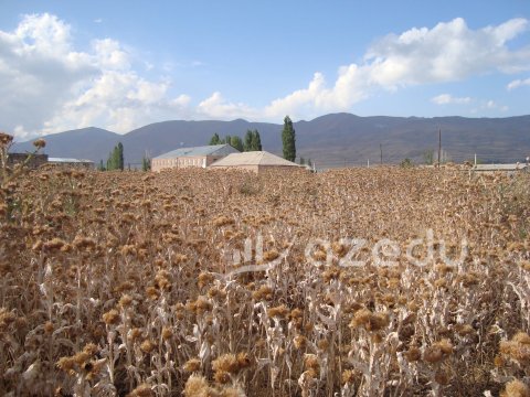 Qərbi Azərbaycan məktəbləri: Bala Məzrə məktəbinin təhsil tarixi - ARAŞDIRMA