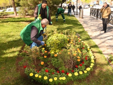 Bakıda iməclik keçirilib - FOTOLAR