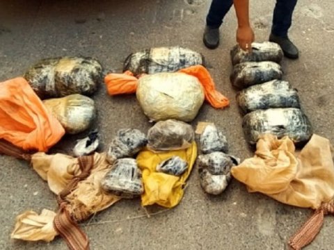 58 milyon manatlıq narkotik dövriyyədən çıxarıldı