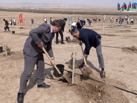 &ldquo;Beynəlxalq Yer Günü&rdquo; ilə əlaqədar ağacəkmə aksiyası keçirildi - FOTOLAR&nbsp;