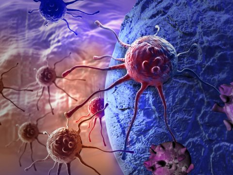 Xərçəng hüceyrələrinin aşkarlanmasının qeyri-adi üsulu