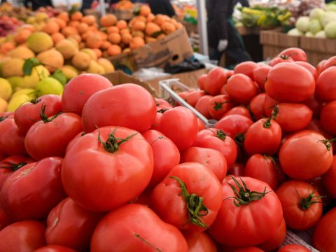 Azərbaycanda qızıl qiymətinə pomidor: hələ də BAHADIR...