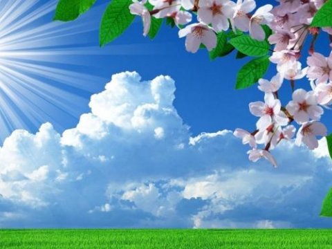 Bakıda 26 dərəcə isti var - Faktiki hava