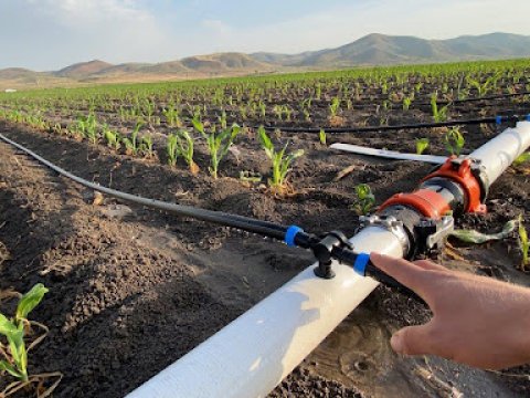 Əkin sahələrinin suvarılmasında problem olmayacaq