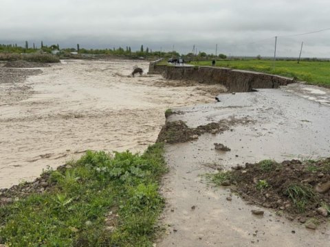 Apreldə&nbsp;baş verən təbiət hadisələri istehsalçılara&nbsp;bu qədər ziyan vurub