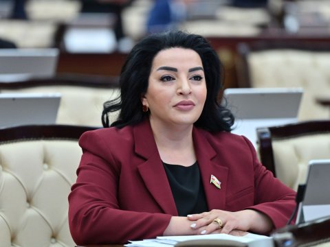 Azərbaycanla Çinin etibarlı tərəfdaş olduğu təsdiqləndi - Fatma Yıldırım