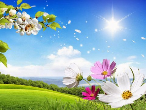 Bu gün 30 dərəcə isti olacaq