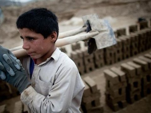 15 yaşına qədər uşaqlar əməyə cəlb edilə bilər - Hüquqşünas