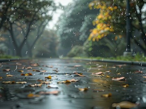 Ən çox yağış yağan RAYONLAR