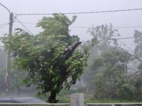 Küləklə bağlı XƏBƏRDARLIQ&nbsp;