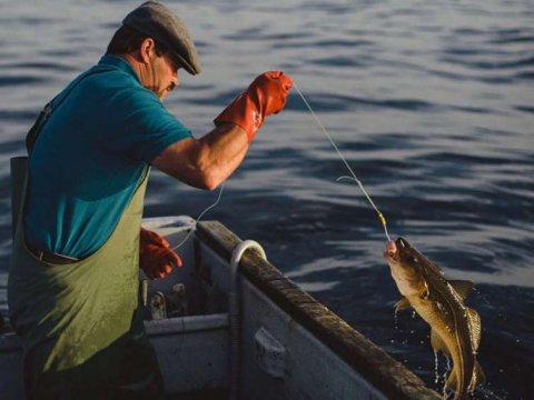 Balıq ovu ilə məşğul olanların nəzərinə - Mayın 1-dən...