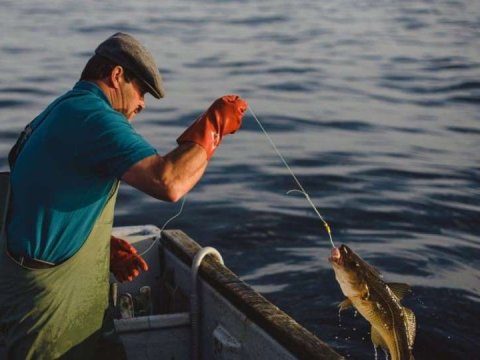 Azərbaycanda balıq ovuna qadağa&nbsp;qüvvəyə mindi&nbsp;