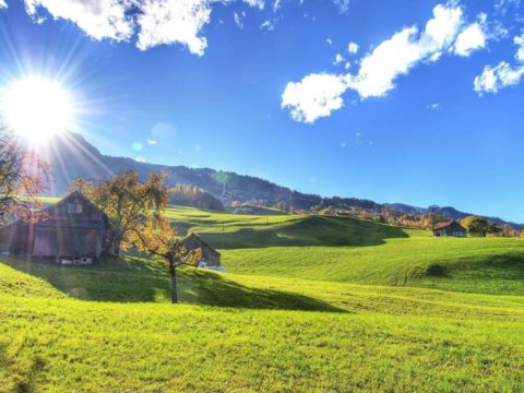 Bu gün 23 dərəcə isti olacaq