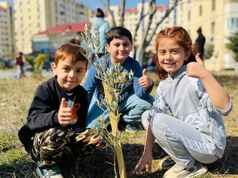 Dövlət Komitəsi ağacəkmə aksiyası təşkil edib -&nbsp;FOTOLAR