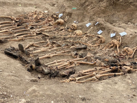 Xocalıdakı meyit qalıqlarının kimliyini müəyyən etmək çətindir - Deputat