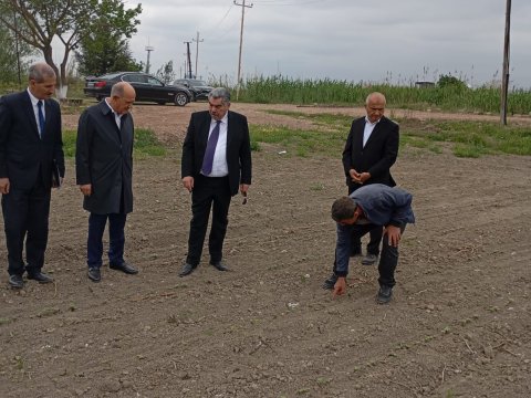 İcra başçısı pambıq əkini sahələrində - FOTO
