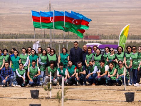 Trendyol və PAŞA Holding ağacəkmə kampaniyasına başladı