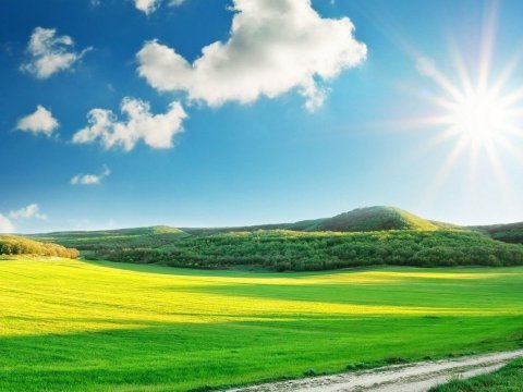 Bu gün 25 dərəcə isti olacaq