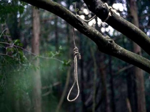 Tələbənin meşədə asılmış meyiti TAPILDI