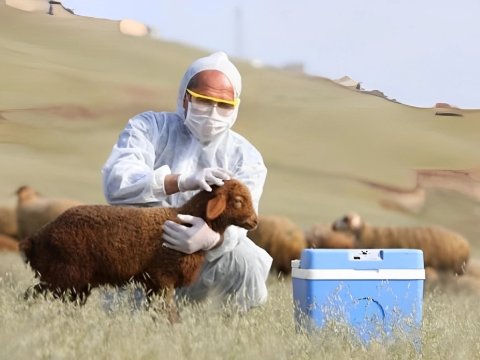 "Baytarlıq haqqında" qanuna DƏYİŞİKLİK