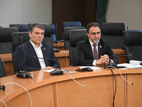 Deputatlar Afrikada: Söz Azərbaycandadır - FOTO