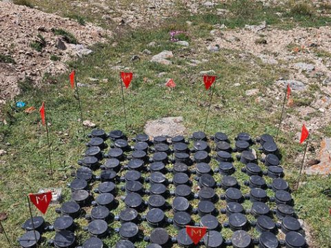 Ötən həftə 1315 hektar ərazi minalardan təmizlənib