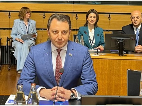 Elnur Məmmədov Avropa Şurası Nazirlər Komitəsinin sessiyasında - FOTO