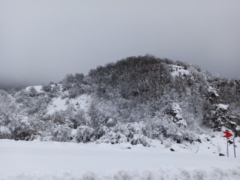 Leysan və qar yağıb - FAKTİKİ HAVA