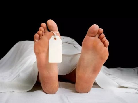 Bu il ölənlərin sayı açıqlandı&nbsp;