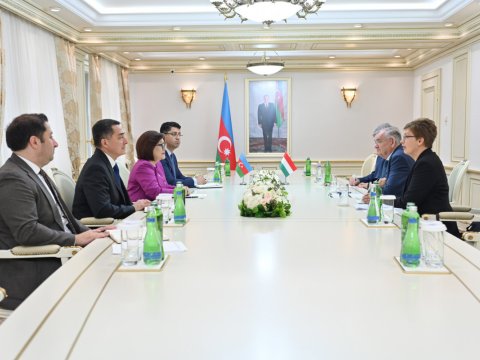 Sahibə Qafarova Macarıstan Milli Assambleyasının sədr müavini ilə görüşdü