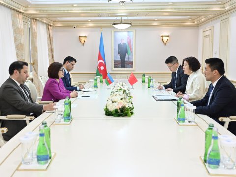 Sahibə Qafarova yeni səfirlə görüşdü - FOTO