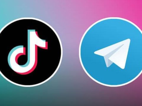 General bağlanan sosial şəbəkə kanallarının sayını&nbsp;açıqladı