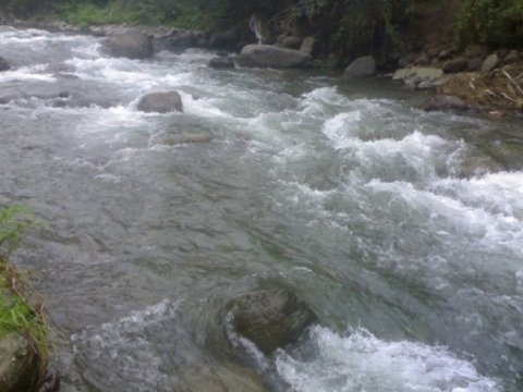 Çaylarda müşahidə olunan faktiki vəziyyət