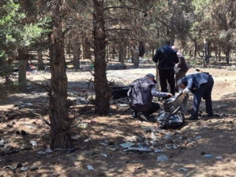 Abşeronda 64 ağacın məhv edildiyi yaşıllıq sahəsi&nbsp;bərpa olundu