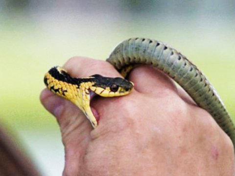 33 yaşlı kişini ilan sancdı