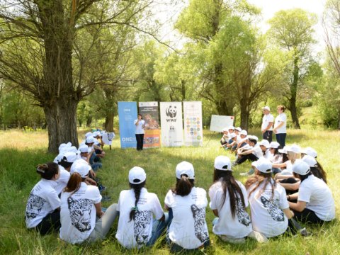 Şagirdlərin yay düşərgələri kimlərə sərfəlidir?