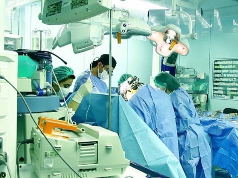 İlin əvvəlindən 63 orqan köçürülüb - 10-u meyitdən GÖTÜRÜLÜB