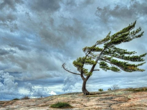 Külək nə vaxt dayanacaq? - Tarix AÇIQLANDI