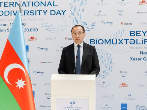 Məcnun Məmmədov koronavirusdan sağaldı