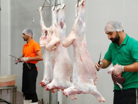Qurban bayramında heyvanların satış və kəsim yerləri -&nbsp;ÜNVANLAR